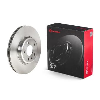 Jeu de 2 disques de frein avant BREMBO [09.A820.10]