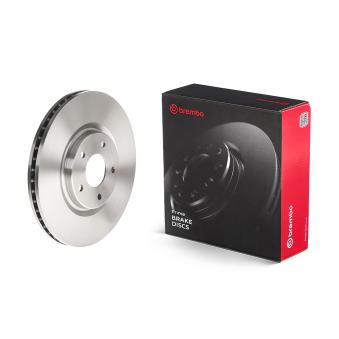 Jeu de 2 disques de frein avant BREMBO [09.B354.10]