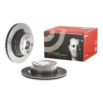Jeu de 2 disques de frein arrière BREMBO OEM 34216855005