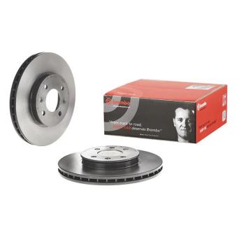 Jeu de 2 disques de frein avant BREMBO OEM 517120U000