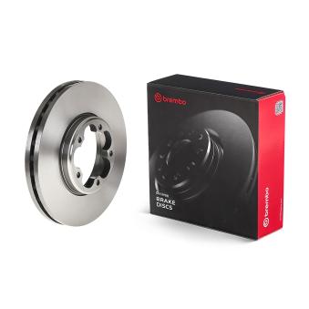Jeu de 2 disques de frein avant BREMBO OEM 2221678