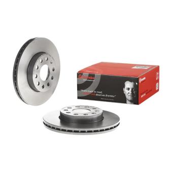 Jeu de 2 disques de frein avant BREMBO OEM 8V0698302
