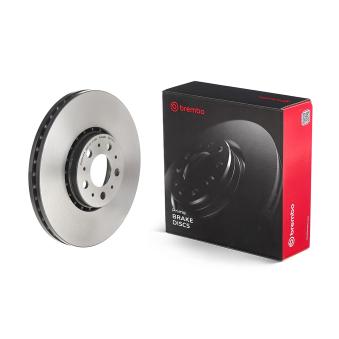 Jeu de 2 disques de frein avant BREMBO OEM 31400893