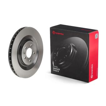 Jeu de 2 disques de frein arrière BREMBO [09.D940.11]