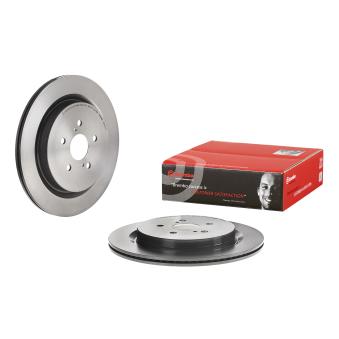 Jeu de 2 disques de frein arrière BREMBO OEM 424310E060