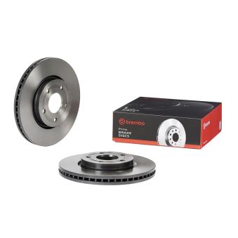 Jeu de 2 disques de frein avant BREMBO OEM 2384229