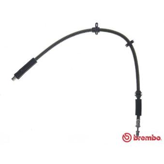 Flexible de frein BREMBO [T 06 051]
