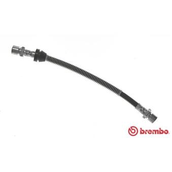 Flexible de frein BREMBO OEM 96345555