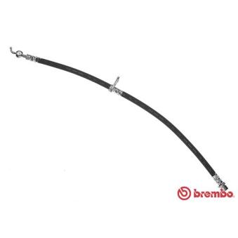 Flexible de frein BREMBO OEM 480600