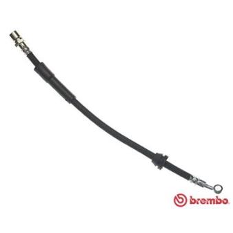 Flexible de frein BREMBO OEM 96300046