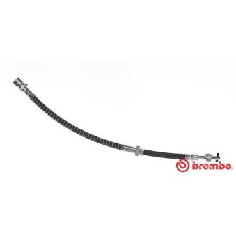 Flexible de frein BREMBO OEM 96335937