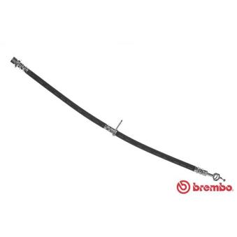 Flexible de frein BREMBO OEM 9004922174000 Flexible de frein BREMBO OEM 9004922174000