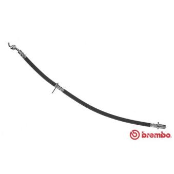 Flexible de frein BREMBO OEM 9004922168