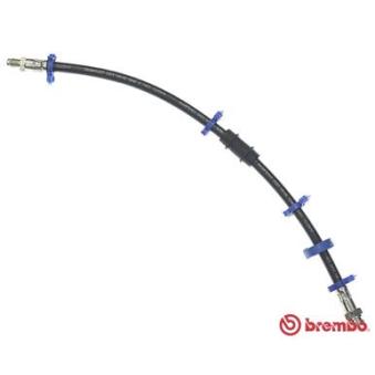Flexible de frein BREMBO OEM 7563851