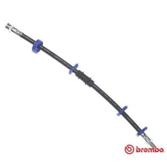 Flexible de frein BREMBO OEM 7563848