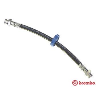 Flexible de frein BREMBO OEM 60806266