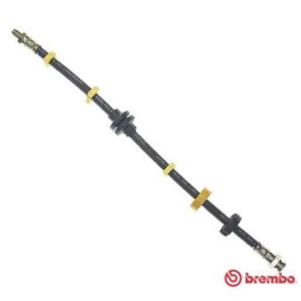 Flexible de frein BREMBO OEM 0060812130