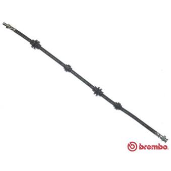 Flexible de frein BREMBO [T 23 037]
