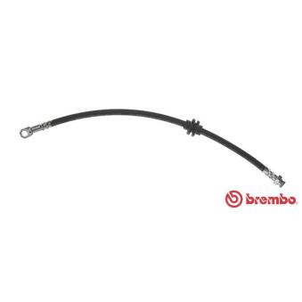 Flexible de frein BREMBO T 23 172