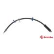 BREMBO T 23 193 - Flexible de frein