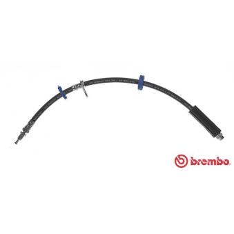 Flexible de frein BREMBO OEM 4806H0