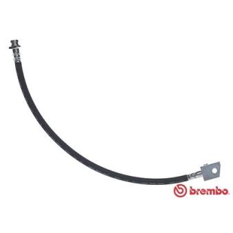 Flexible de frein BREMBO OEM 462110F005