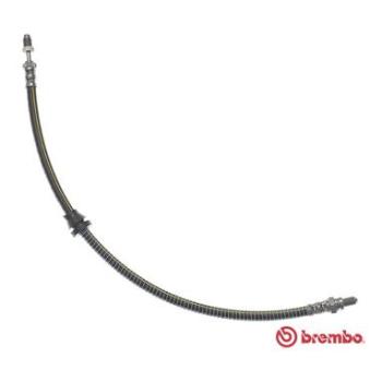 Flexible de frein BREMBO OEM 1035270