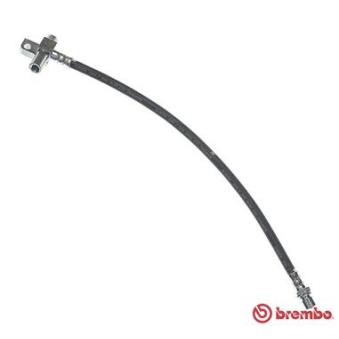Flexible de frein BREMBO OEM 6149181