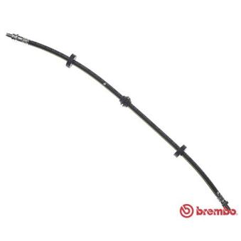 Flexible de frein BREMBO OEM 1025018