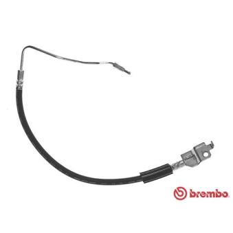 Flexible de frein BREMBO OEM 1000743