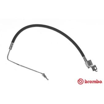 Flexible de frein BREMBO OEM 6823335