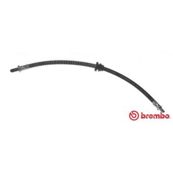 Flexible de frein BREMBO OEM 6508658