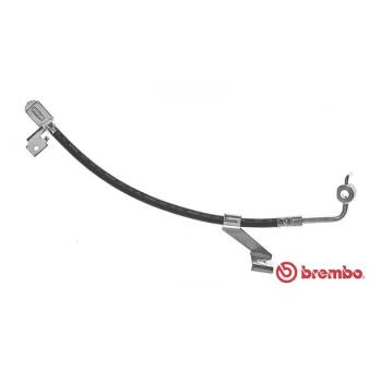 Flexible de frein BREMBO OEM 1051516 Flexible de frein BREMBO OEM 1051516