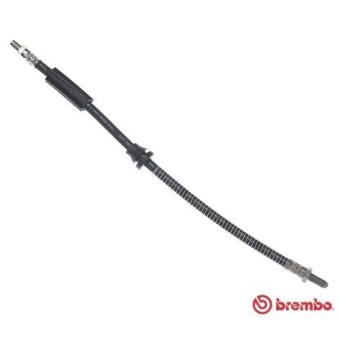 Flexible de frein BREMBO OEM 1034192