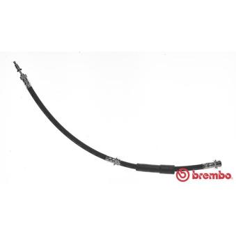 Flexible de frein BREMBO OEM 1201141 Flexible de frein BREMBO OEM 1201141
