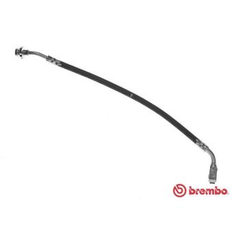 Flexible de frein BREMBO OEM 1954516