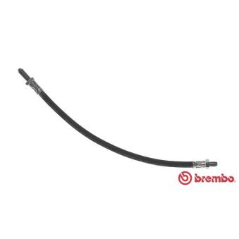 Flexible de frein BREMBO OEM 1613337