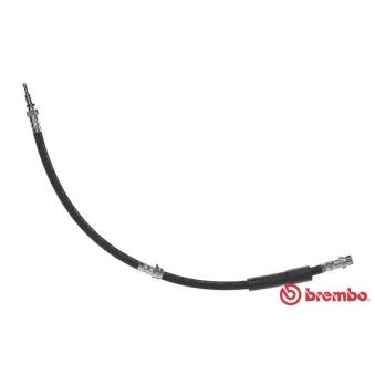 Flexible de frein BREMBO OEM 1426690