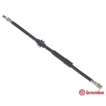 Flexible de frein BREMBO OEM 1405494