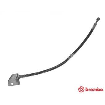 Flexible de frein BREMBO OEM 587312E000