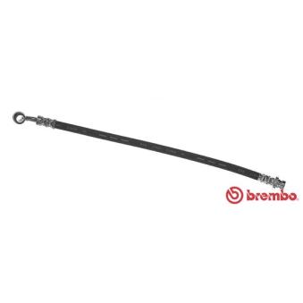 Flexible de frein BREMBO [T 24 124]