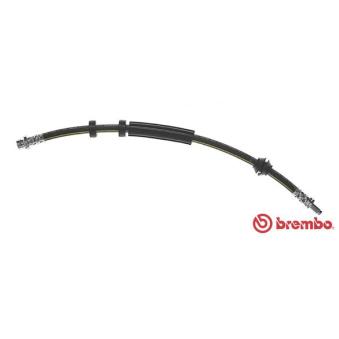 Flexible de frein BREMBO OEM 1671020