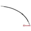 BREMBO T 24 128 - Flexible de frein