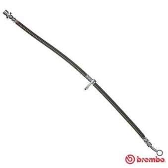 Flexible de frein BREMBO OEM C01464S2H000 Flexible de frein BREMBO OEM C01464S2H000