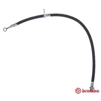 Flexible de frein BREMBO OEM 01464S6D000