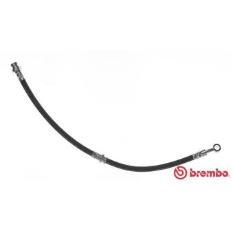 Flexible de frein BREMBO OEM 5874729310