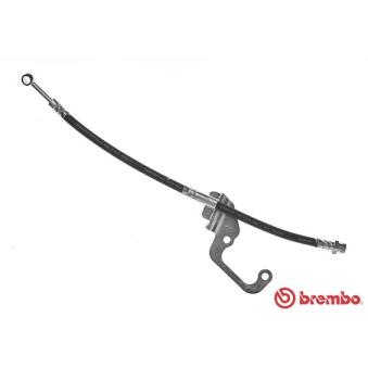 Flexible de frein BREMBO OEM 58732M1000