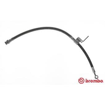 Flexible de frein BREMBO OEM 5873117000