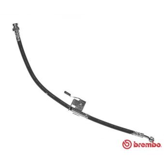 Flexible de frein BREMBO OEM 587381C800 Flexible de frein BREMBO OEM 587381C800