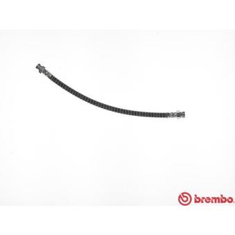 Flexible de frein BREMBO [T 30 073]
